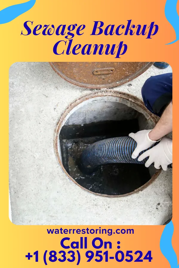 Sewage Backup Cleanup in Jeanerette, LA