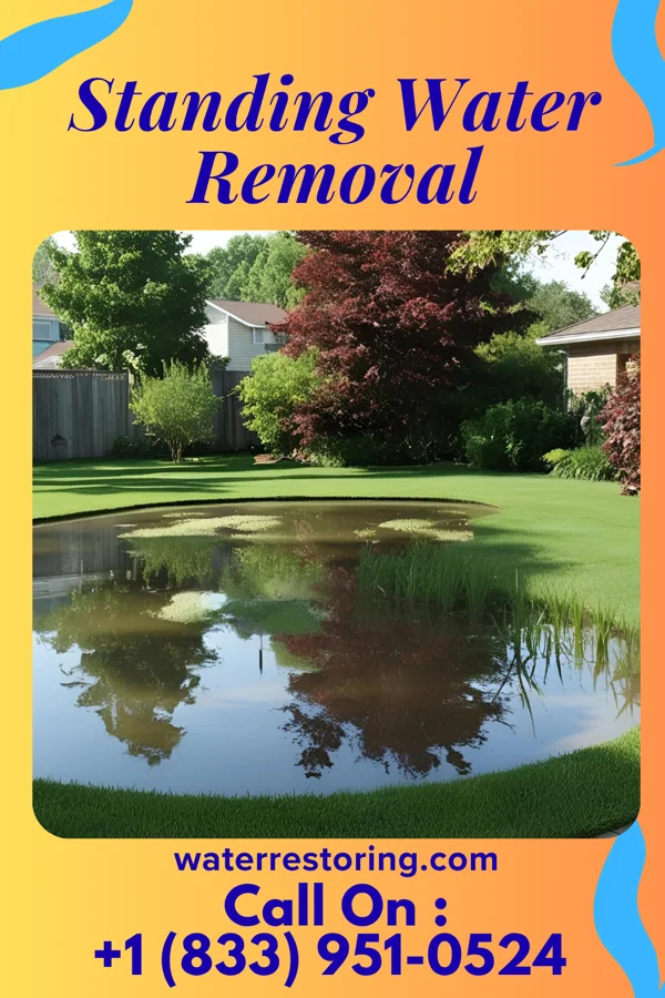 Standing Water Removal in Jeanerette, LA